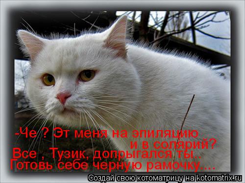 -Че ? Эт меня на эпиляцию и в солярий? Все , Тузик, допрыгался ты.. Готовь себе черную рамочку....... Котоматрица: -Че ? Эт меня на эпиляцию и в солярий? Все , Тузик, допрыгался ты.. Готовь себе черную рамочку....