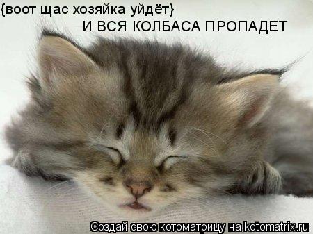 {воот щас хозяйка уйдёт} И ВСЯ КОЛБАСА ПРОПАДЕТ... Котоматрица: {воот щас хозяйка уйдёт} И ВСЯ КОЛБАСА ПРОПАДЕТ