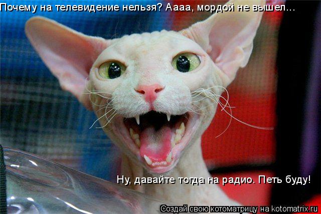 Почему на телевидение нельзя? Аааа, мордой не вышел... Ну, давайте тогда на радио. Петь буду!... Котоматрица: Почему на телевидение нельзя? Аааа, мордой не вышел... Ну, давайте тогда на радио. Петь буду!