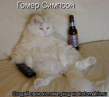 Гомер Симпсон... Котоматрица: Гомер Симпсон