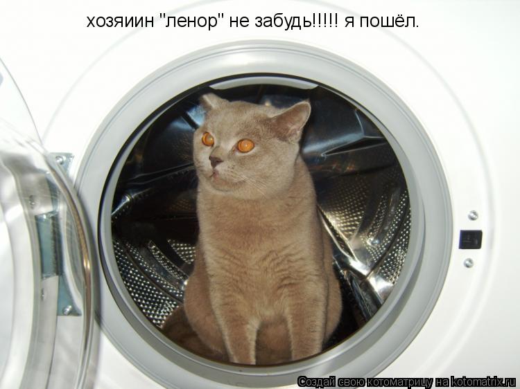 хозяиин "ленор" не забудь!!!!! я пошёл.... Котоматрица: хозяиин "ленор" не забудь!!!!! я пошёл.