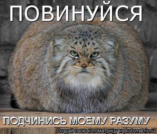 ПОДЧИНИСЬ МОЕМУ РАЗУМУ ПОДЧИНИСЬ МОЕМУ РАЗУМУ ПОДЧИНИСЬ МОЕМУ РАЗУМУ ПОВИНУЙСЯ... Котоматрица: ПОДЧИНИСЬ МОЕМУ РАЗУМУ ПОДЧИНИСЬ МОЕМУ РАЗУМУ ПОДЧИНИСЬ МОЕМУ РАЗУМУ ПОВИНУЙСЯ