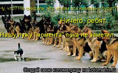Ну, что? Не ожидали, что клеем все намазано будет?! Ничего, ребят... Нашу лужу "момента" пока не заме... Котоматрица: Ну, что? Не ожидали, что клеем все намазано будет?! Ничего, ребят... Нашу лужу "момента" пока не заметил...