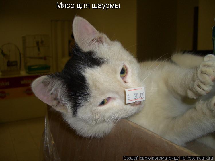 Мясо для шаурмы... Котоматрица: Мясо для шаурмы