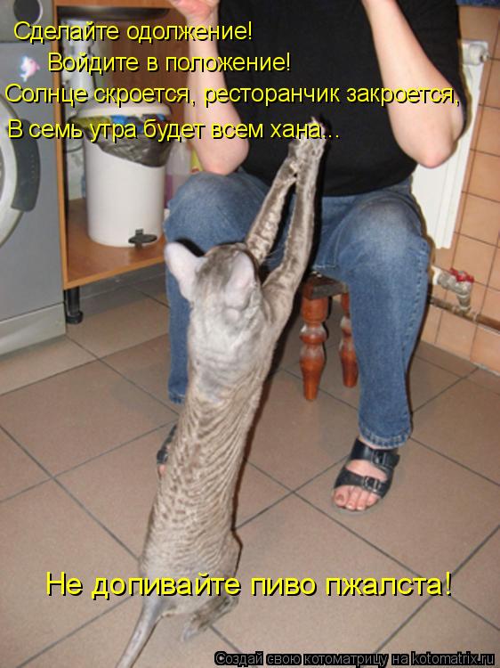 Сделайте одолжение! Войдите в положение! Солнце скроется, ресторанчик закроется, В семь утра будет вс... Котоматрица: Сделайте одолжение! Войдите в положение! Солнце скроется, ресторанчик закроется, В семь утра будет всем хана... Не допивайте пиво пжалста!
