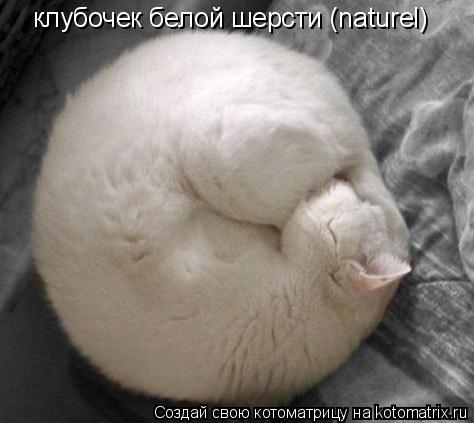 Котоматрица: клубочек белой шерсти (naturel)