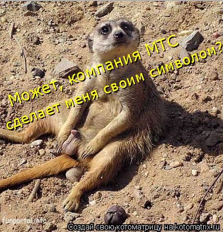 сделает меня своим символом? Может, компания МТС... Котоматрица: сделает меня своим символом? Может, компания МТС