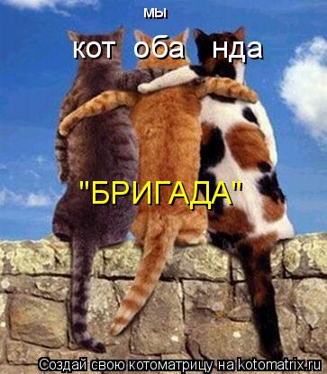 мы кот оба нда "БРИГАДА"... Котоматрица: мы кот оба нда "БРИГАДА"