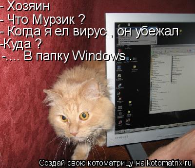 - Хозяин - Что Мурзик ? - Когда я ел вирус , он убежал -Куда ? -.... В папку Windows .... Котоматрица: - Хозяин - Что Мурзик ? - Когда я ел вирус , он убежал -Куда ? -.... В папку Windows .