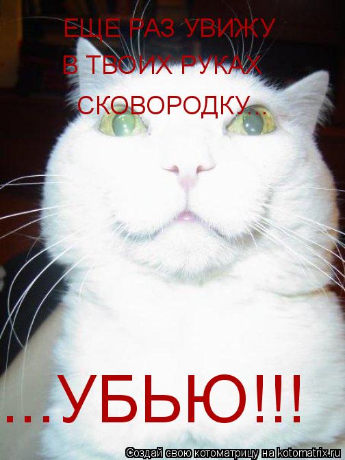 ЕЩЕ РАЗ УВИЖУ В ТВОИХ РУКАХ СКОВОРОДКУ... ...УБЬЮ!!!... Котоматрица: ЕЩЕ РАЗ УВИЖУ В ТВОИХ РУКАХ СКОВОРОДКУ... ...УБЬЮ!!!