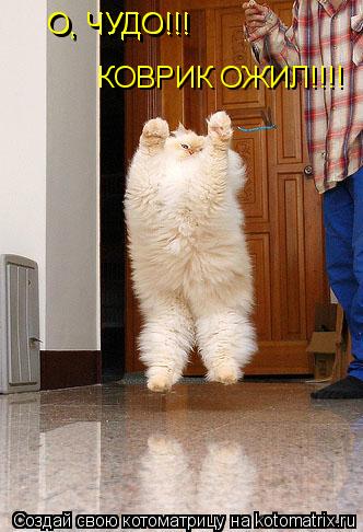 О, ЧУДО!!! О, ЧУДО!!! КОВРИК ОЖИЛ!!!!... Котоматрица: О, ЧУДО!!! О, ЧУДО!!! КОВРИК ОЖИЛ!!!!