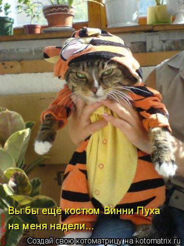 Вы бы ещё костюм Винни Пуха на меня надели...... Котоматрица: Вы бы ещё костюм Винни Пуха на меня надели...