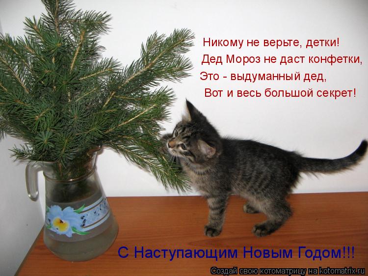 Никому не верьте, детки! Дед Мороз не даст конфетки, Это - выдуманный дед, Вот и весь большой секрет!... Котоматрица: Никому не верьте, детки! Дед Мороз не даст конфетки, Это - выдуманный дед, Вот и весь большой секрет! С Наступающим Новым Годом!!!