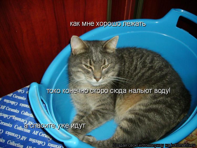 как мне хорошо лежать токо конечно скоро сюда нальют воду! а спасите уже идут... Котоматрица: как мне хорошо лежать токо конечно скоро сюда нальют воду! а спасите уже идут