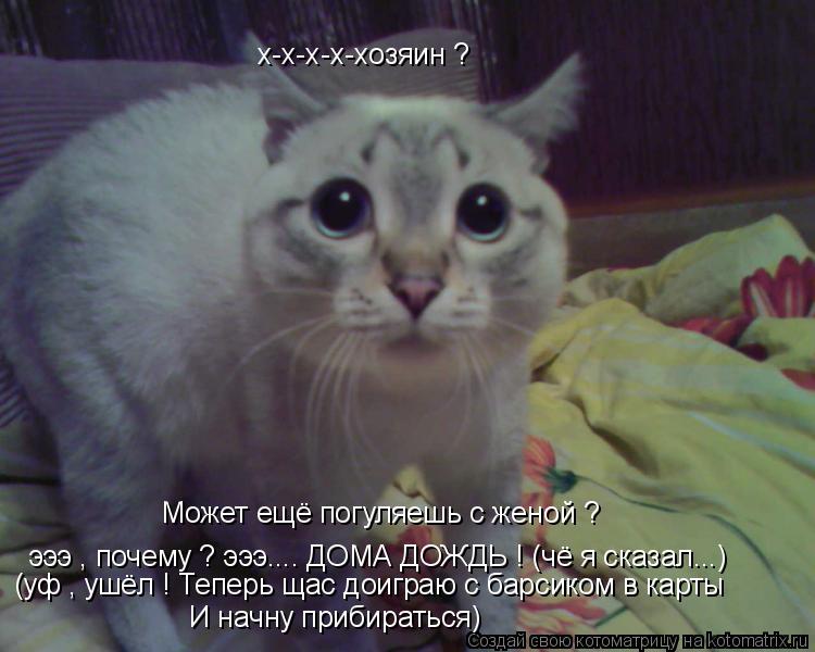 х-х-х-х-хозяин ? Может ещё погуляешь с женой ? эээ , почему ? эээ.... ДОМА ДОЖДЬ ! (чё я сказал...) (... Котоматрица: х-х-х-х-хозяин ? Может ещё погуляешь с женой ? эээ , почему ? эээ.... ДОМА ДОЖДЬ ! (чё я сказал...) (уф , ушёл ! Теперь щас доиграю с барсиком в карты