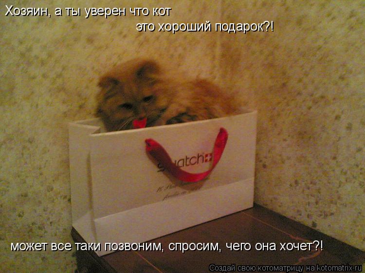 Хозяин, а ты уверен что кот это хороший подарок?! может все таки позвоним, спросим, чего она хочет?!... Котоматрица: Хозяин, а ты уверен что кот это хороший подарок?! может все таки позвоним, спросим, чего она хочет?!