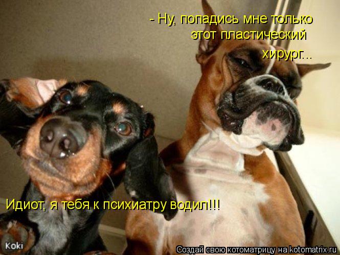 - Ну, попадись мне только этот пластический хирург... Идиот, я тебя к психиатру водил!!!... Котоматрица: - Ну, попадись мне только этот пластический хирург... Идиот, я тебя к психиатру водил!!!
