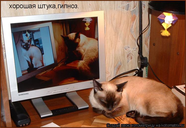 Котоматрица: хорошая штука,гипноз.