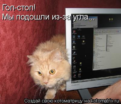 Гоп-стоп! Мы подошли из-за угла...... Котоматрица: Гоп-стоп! Мы подошли из-за угла...