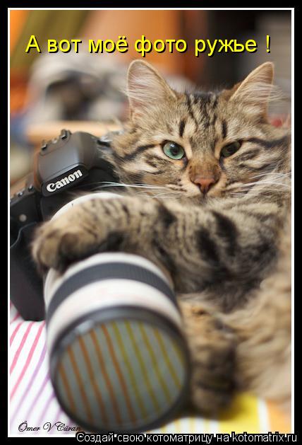 А вот моё фото ружье !... Котоматрица: А вот моё фото ружье !