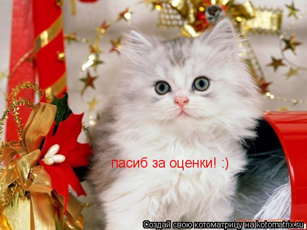 пасиб за оценки! :)... Котоматрица: пасиб за оценки! :)