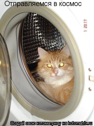 Отправляемся в космос... Котоматрица: Отправляемся в космос