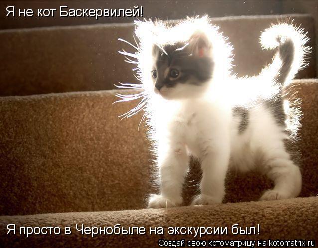 Я не кот Баскервилей! Я просто в Чернобыле на экскурсии был!... Котоматрица: Я не кот Баскервилей! Я просто в Чернобыле на экскурсии был!