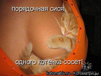 порядочная сися одного котёнка сосёт!... Котоматрица: порядочная сися одного котёнка сосёт!