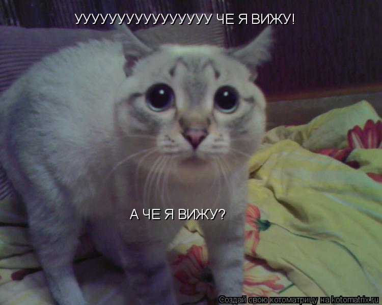 УУУУУУУУУУУУУУУУ ЧЕ Я ВИЖУ! А ЧЕ Я ВИЖУ?... Котоматрица: УУУУУУУУУУУУУУУУ ЧЕ Я ВИЖУ! А ЧЕ Я ВИЖУ?