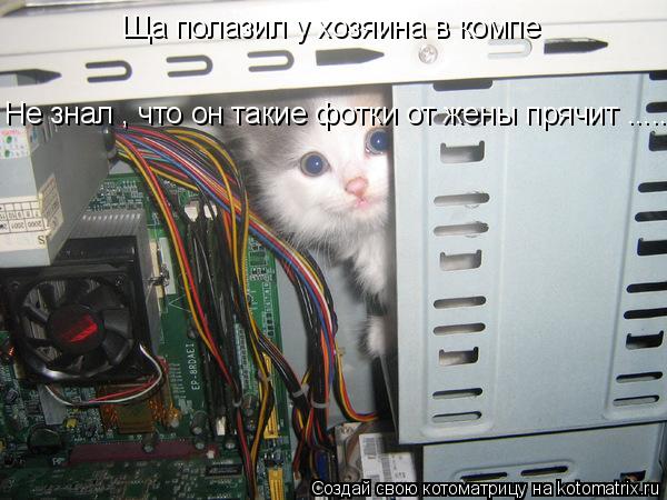 Ща полазил у хозяина в компе Не знал , что он такие фотки от жены прячит ......... Котоматрица: Ща полазил у хозяина в компе Не знал , что он такие фотки от жены прячит ......