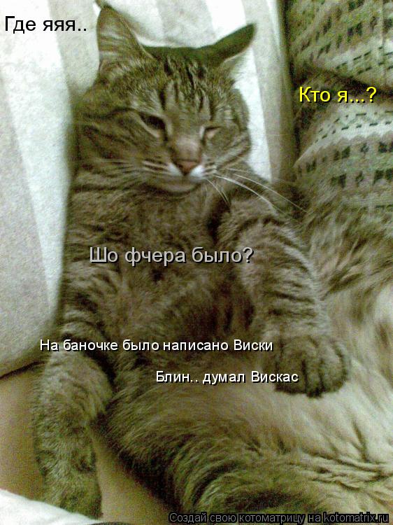 Где яяя.. Кто я...? Шо фчера было? На баночке было написано Виски Блин.. думал Вискас... Котоматрица: Где яяя.. Кто я...? Шо фчера было? На баночке было написано Виски Блин.. думал Вискас