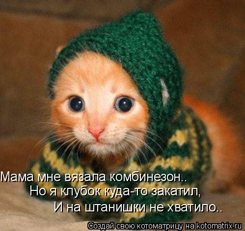 Мама мне вязала комбинезон.. Но я клубок куда-то закатил, И на штанишки не хватило..... Котоматрица: Мама мне вязала комбинезон.. Но я клубок куда-то закатил, И на штанишки не хватило..