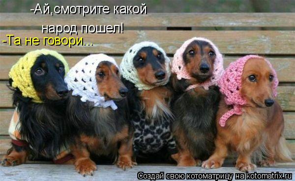 -Ай,смотрите какой народ пошел! -Та не говори...... Котоматрица: -Ай,смотрите какой народ пошел! -Та не говори...