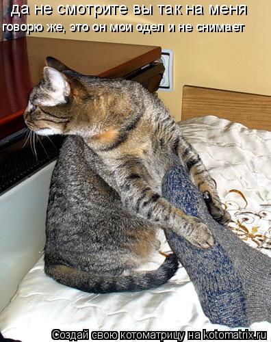 да не смотрите вы так на меня говорю же, это он мои одел и не снимает... Котоматрица: да не смотрите вы так на меня говорю же, это он мои одел и не снимает