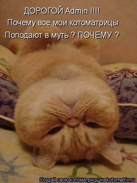 ДОРОГОЙ Admin !!!! Почему все мои котоматрицы Поподают в муть ? ПОЧЕМУ ?... Котоматрица: ДОРОГОЙ Admin !!!! Почему все мои котоматрицы Поподают в муть ? ПОЧЕМУ ?