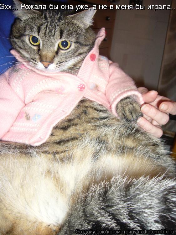 Эхх... Рожала бы она уже, а не в меня бы играла...... Котоматрица: Эхх... Рожала бы она уже, а не в меня бы играла...