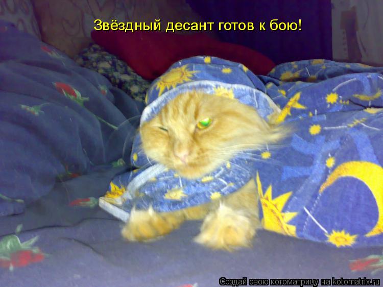 Звёздный десант готов к бою!... Котоматрица: Звёздный десант готов к бою!