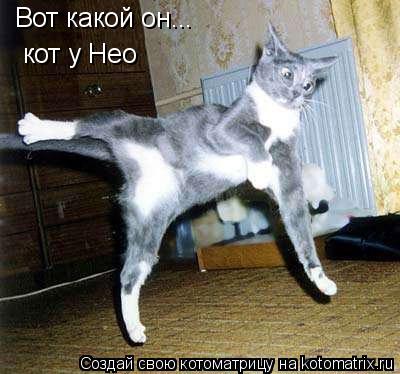 Котоматрица: Вот какой он... кот у Нео