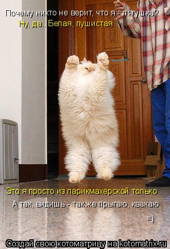 Почему никто не верит, что я - лягушка? Ну, да.. Белая, пушистая Это я просто из парикмахерской тольк... Котоматрица: Почему никто не верит, что я - лягушка? Ну, да.. Белая, пушистая Это я просто из парикмахерской только А так, видишь - так же прыгаю, квакаю =)