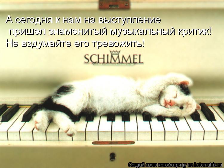А сегодня к нам на выступление пришел знаменитый музыкальный критик! Не вздумайте его тревожить!... Котоматрица: А сегодня к нам на выступление пришел знаменитый музыкальный критик! Не вздумайте его тревожить!