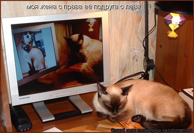 Котоматрица: моя жена с права её подруга с лева