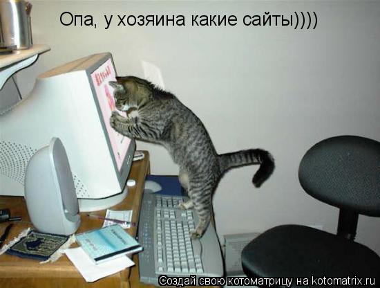 Опа, у хозяина какие сайты))))... Котоматрица: Опа, у хозяина какие сайты))))