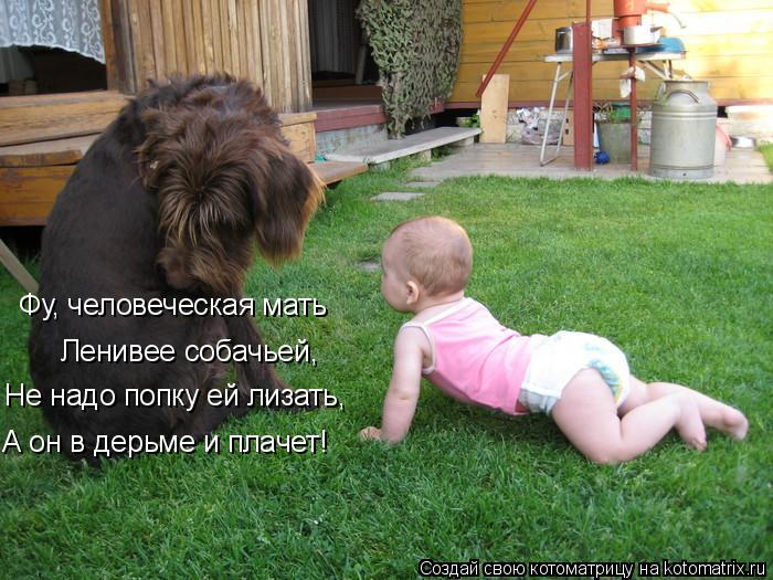 Котоматрица: Фу, человеческая мать Ленивее собачьей, Не надо попку ей лизать, А он в дерьме и плачет!