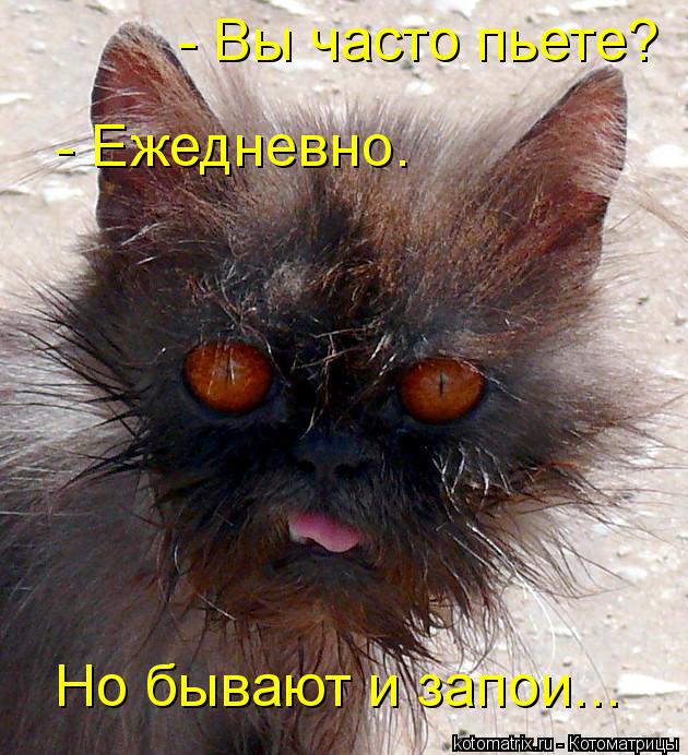 - Вы часто пьете? - Ежедневно. Но бывают и запои...... Котоматрица: - Вы часто пьете? - Ежедневно. Но бывают и запои...