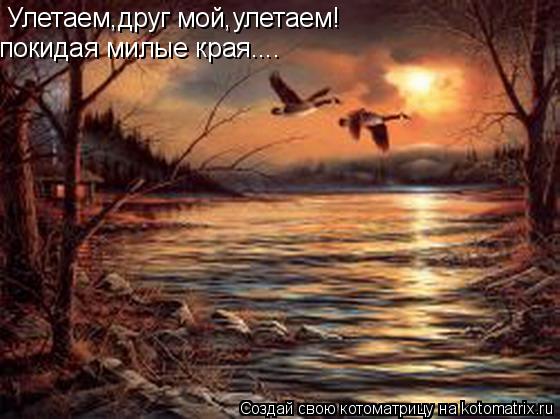 Улетаем,друг мой,улетаем! покидая милые края....... Котоматрица: Улетаем,друг мой,улетаем! покидая милые края....
