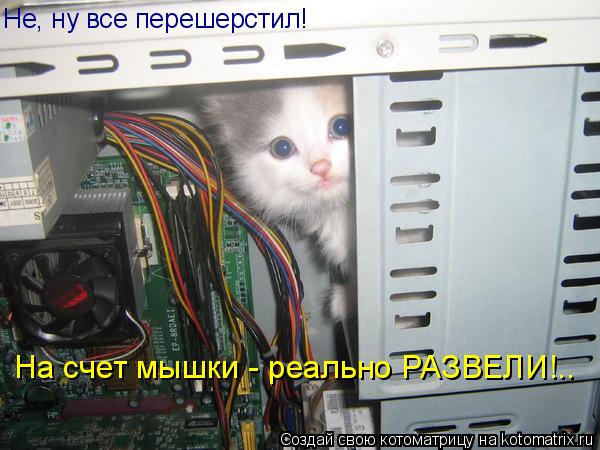 Не, ну все перешерстил! На счет мышки - реально РАЗВЕЛИ!..... Котоматрица: Не, ну все перешерстил! На счет мышки - реально РАЗВЕЛИ!..