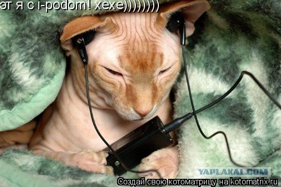 эт я с i-podom! xexe))))))))... Котоматрица: эт я с i-podom! xexe))))))))