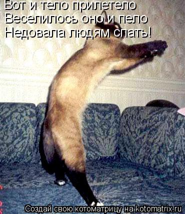 Вот и тело прилетело Веселилось оно и пело Недовала людям спать!... Котоматрица: Вот и тело прилетело Веселилось оно и пело Недовала людям спать!