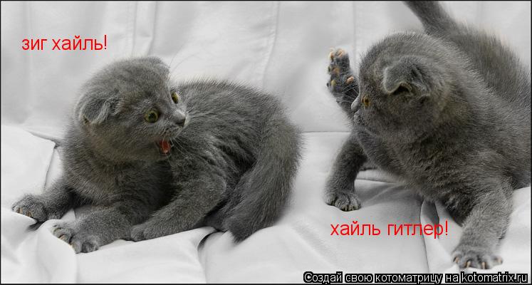 Котоматрица: зиг хайль ! хайль гитлер!