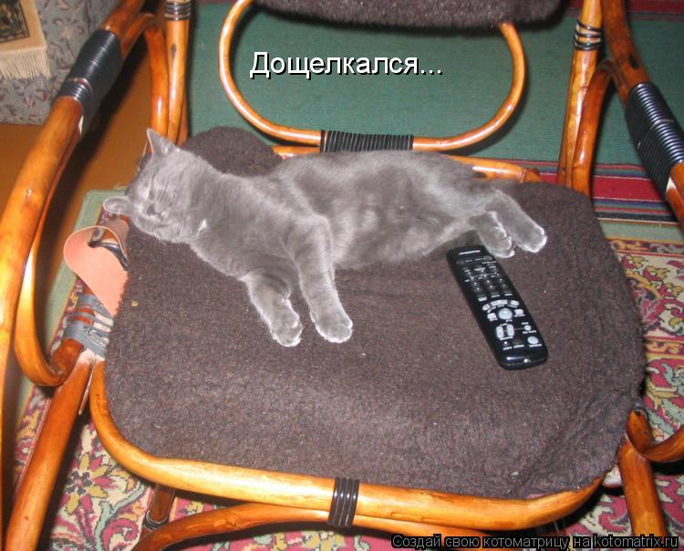 Котоматрица: Дощелкался...